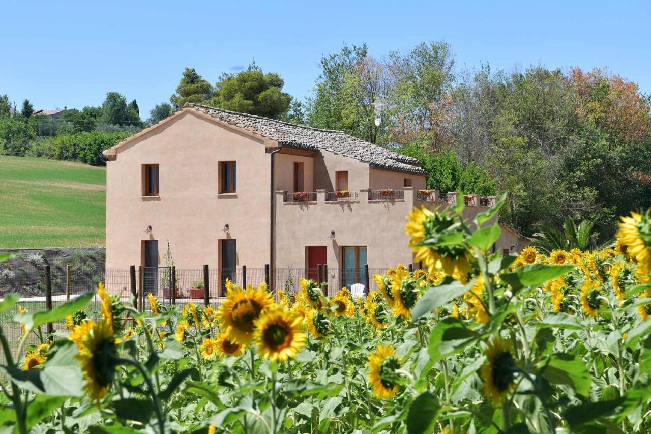 Casa Montefiore 13 Iris Lt Nella Tranquilla Campagna Marchigiana Ανκόνα Εξωτερικό φωτογραφία
